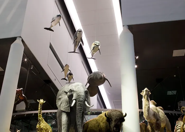 Ξενοδοχείο Vic 4*